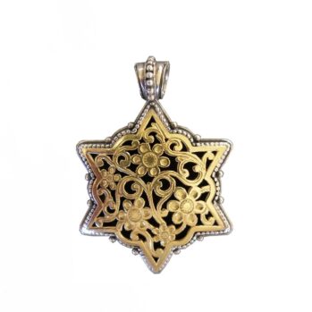 Garden Shadows Star Pendant in 18K Gold and Sterling Silver