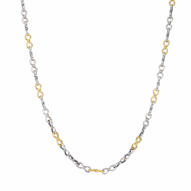 Double Loop Chain in Sterling Silver with Gold Plated Parts
