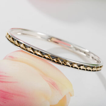 Santorini Dolphins Bangle bracelet in 18K Gold and sterling silver