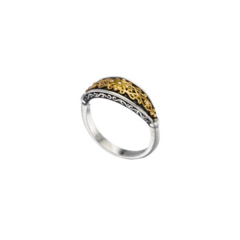 Aretousa Ring in 18K Gold and Sterling Silver