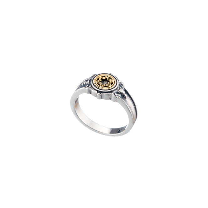 Symbol star of David ring in 18K Gold and Sterling silver