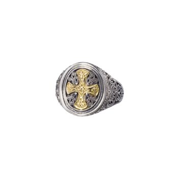 Ring oval shape in 18K Gold and sterling silver