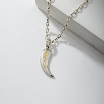 Simplicity Claw Amulet Pendant in 18K Gold and Sterling Silver