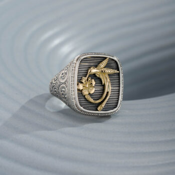 The Hummingbird Talisman Ring in 18K Gold and Sterling Silver
